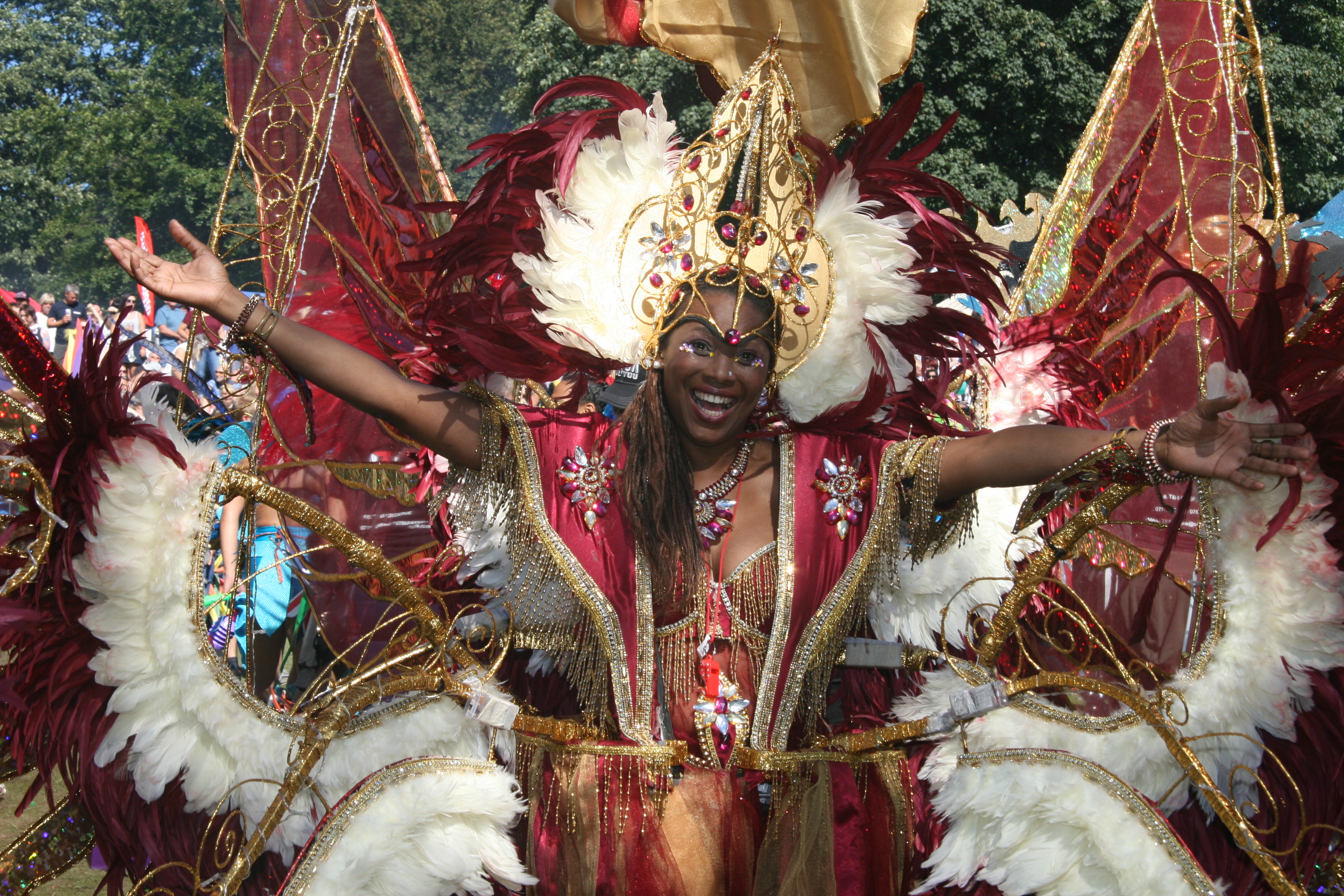 One of the spectacular costumes at Leeds West Indian Carnival 2016 - PHOTO - GUY FARRAR
